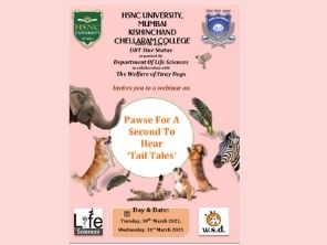 Report on Pawse For a Second to Hear ‘Tail Tales’