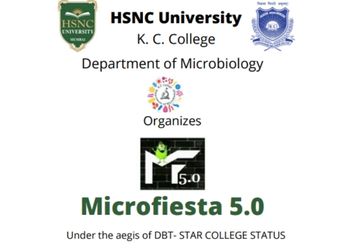 Microfiesta 5.0