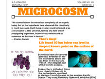 Microbiology Newsletter Batch 13