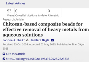 Chitosan-based composite beads for effective removal of heavy metals from aqueous solutions